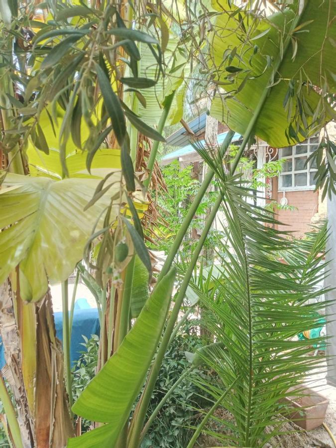 Green Cottage Agrigento Exterior photo