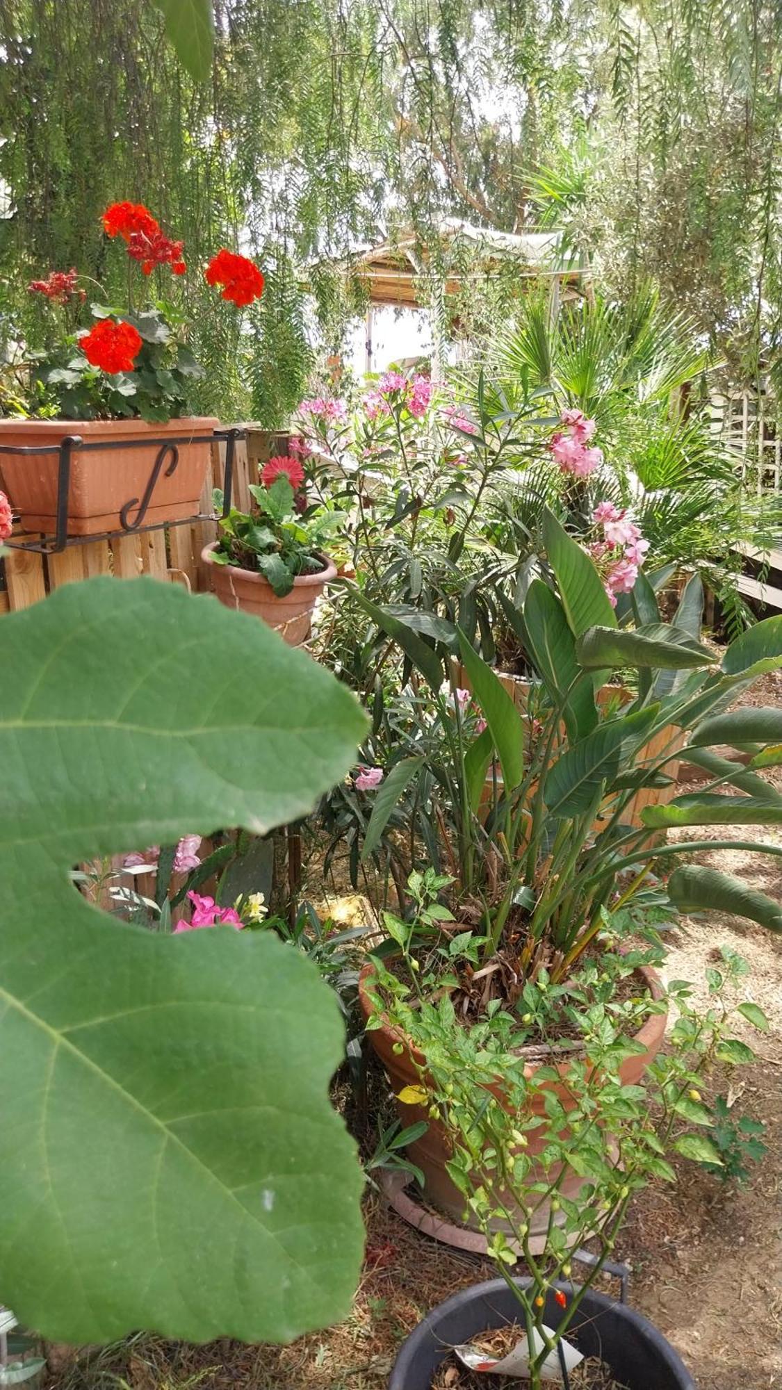 Green Cottage Agrigento Exterior photo